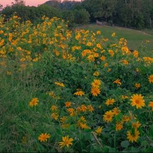 Meet your Posher, Katy